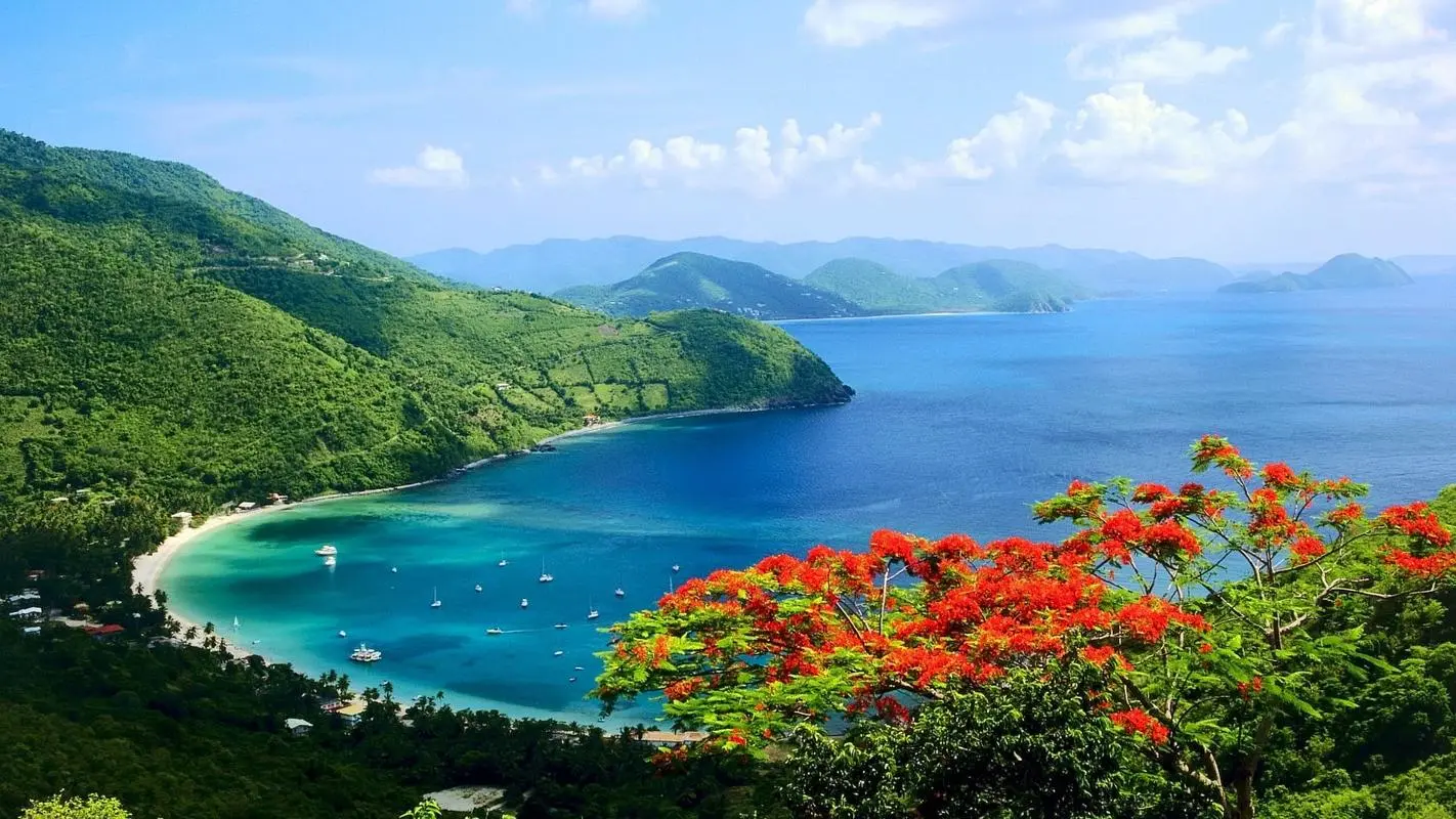网络化无人化可靠性